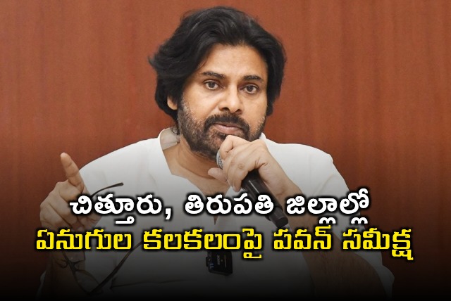 Pawan Kalyan Reviews Elephant Attacks in Chittoor and Tirupati Districts