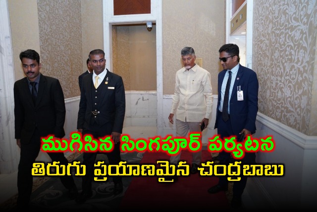 Chandrababu Naidu Returns to AP After Singapore Tour