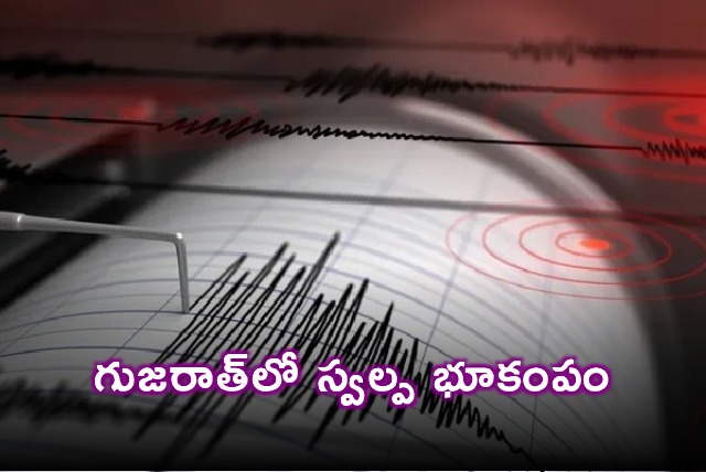 Earthquake in Gujarat 33 magnitude tremor hits Kutch