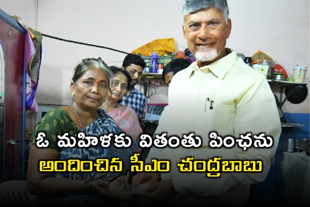 Chandrababu Naidu Personally Delivers Widow Pension to Woman