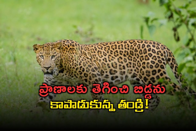 Kerala man fights off leopard to save 4 year old son