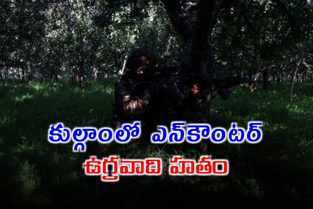 Terrorist Killed In Encounter In JK Army Says Operation Akhal Underway