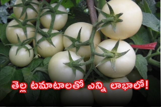 White Tomato Benefits for Skin Lightening and Anti Aging