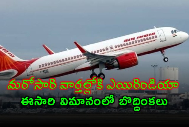 Air India flight infested with cockroaches on San Francisco to Mumbai route