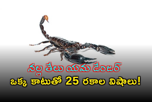 Black Scorpion Venom Contains 25 Toxins Study Reveals