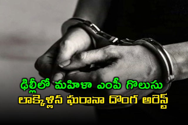 Delhi Police nab man who snatched Congress MPs chain