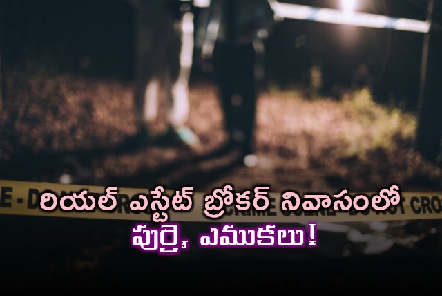 CM Sebastian Real Estate Broker House Discovery Skull Bones