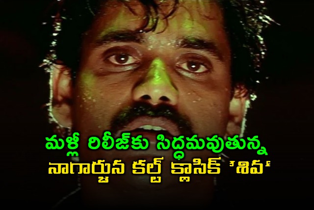 Nagarjunas Cult Classic Shiva Re release Ready