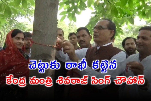 Union Minister Shivraj Singh Chouhan Celebrates Raksha Bandhan In Bhopal Ties Rakhi To Tree