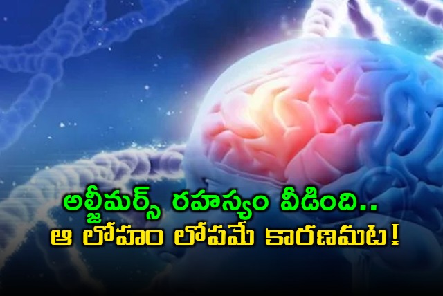 Alzheimers Disease Mystery Solved Lithium Deficiency Key Harvard Study