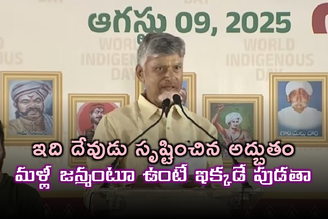 Chandrababu Naidu Agency Areas are Gods Creation