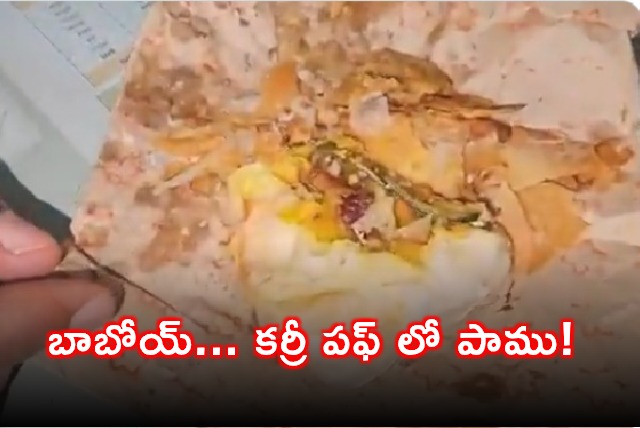Snake Found in Curry Puff at Jadcherla Bakery
