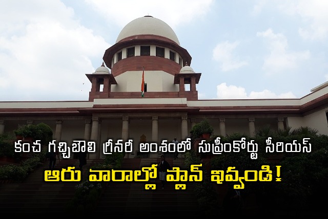 Gachibowli Greenery Supreme Court demands plan in six weeks