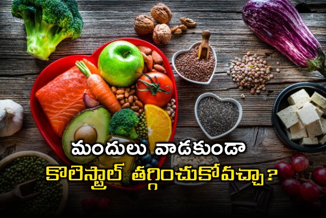 Cholesterol Can Cholesterol Be Reduced Without Medication