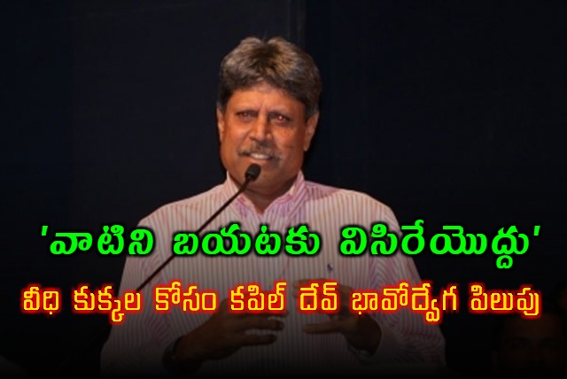 Give Stray Dogs A Better Life Kapil Devs Request Amid Controversy