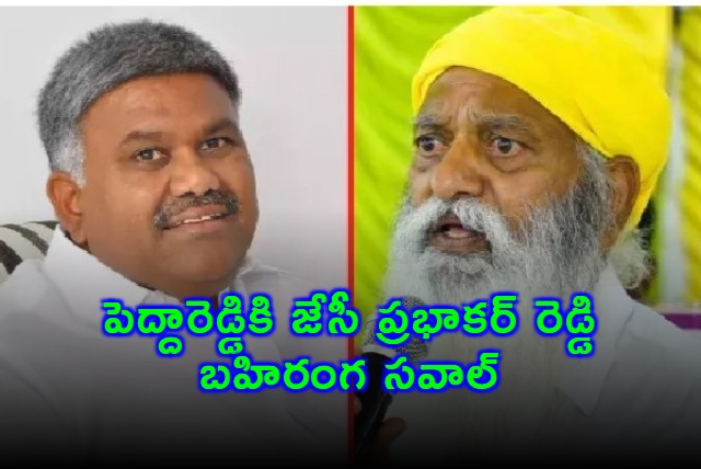 JC Prabhakar Reddy Challenges Pedda Reddy to Come to Tadipatri