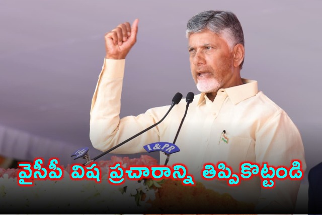 Chandrababu Naidu Calls TDP Cadre to Counter YSRCPs False Propaganda