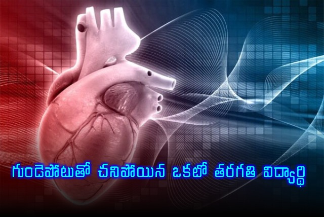 First Grade Student Dies of Heart Attack in Karnataka