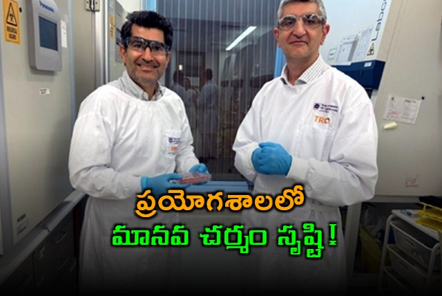 Lab Grown Human Skin Created by Queensland University Team