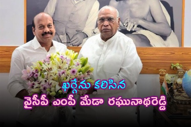 YSRCP MP Meda Raghunath Reddy Meets Kharge