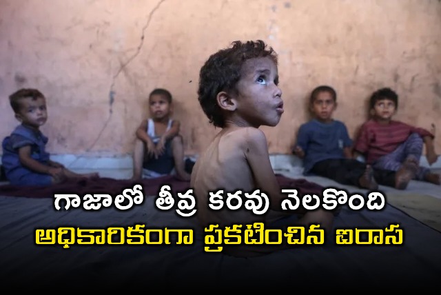 Gaza Officially Declared as Famine Zone by United Nations