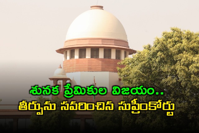 Supreme Court Issues New Guidelines for Street Dog Management