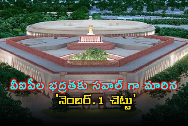 Narendra Modi Tree a security threat at Parliament