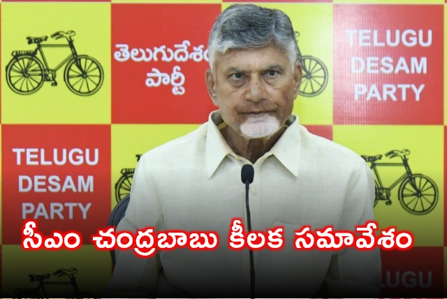 Chandrababu Naidu Holds Key Meeting on TDP Parliament Committees