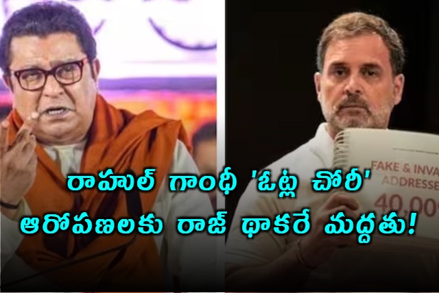 Raj Thackeray Supports Rahul Gandhis Vote Rigging Allegations