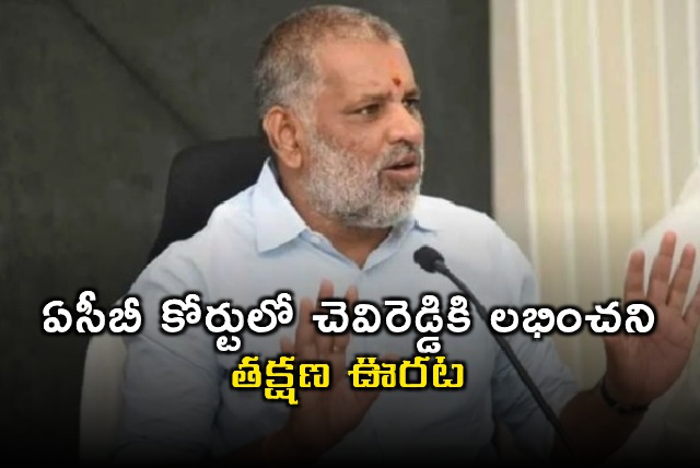 ACB Court Adjourns Chevireddy Bhaskar Reddy Bail Hearing