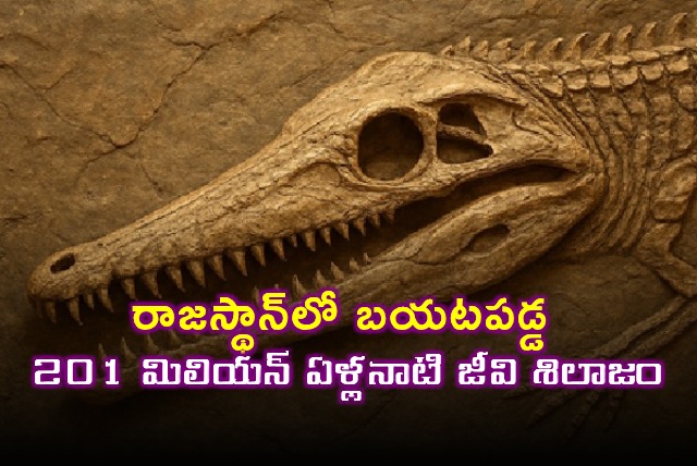 Phytosaur Fossil Discovered in Rajasthan Jaisalmer