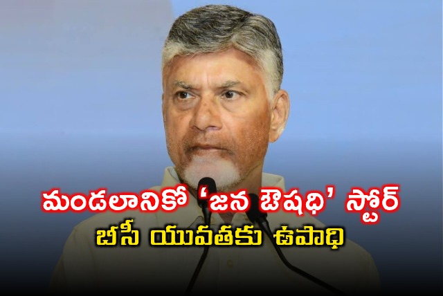 Chandrababu Naidu Focuses on Jan Aushadhi Stores for BC Youth Employment