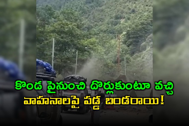 Arunachal Pradesh Landslide damages vehicles in West Kameng