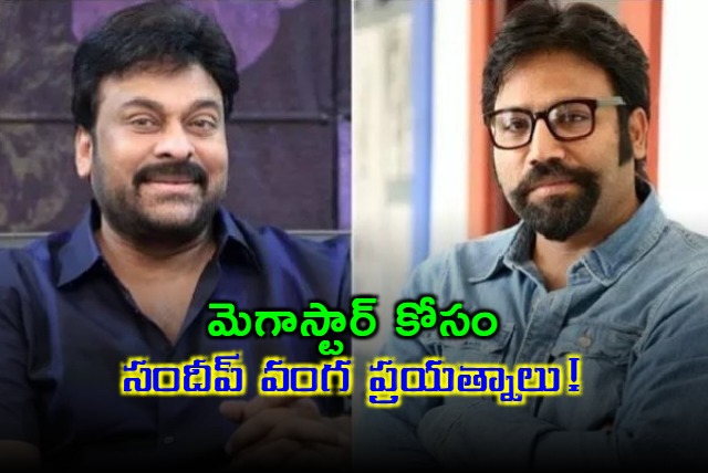 Sandeep Vanga is trying for Chiranjeevi in Prabhas Spirit