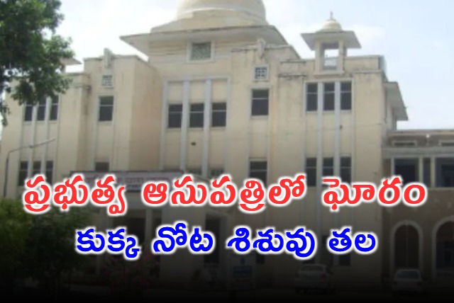 Dog Seen Carrying Babys Head At Hospital In Punjab Probe Ordered