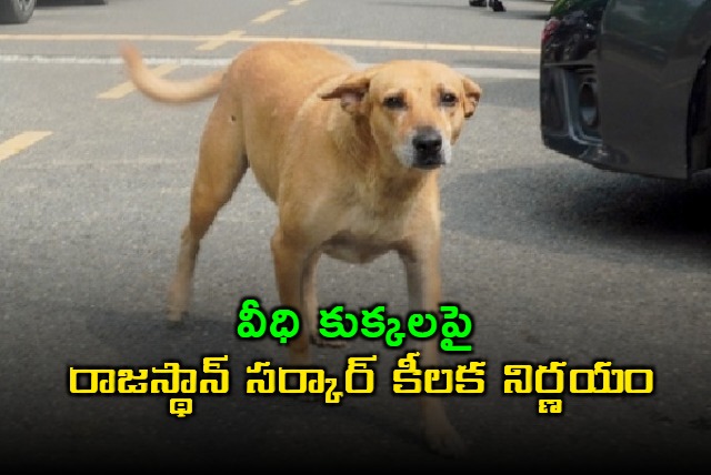 Rajasthan becomes first state to implement Supreme Courts order on stray dogs