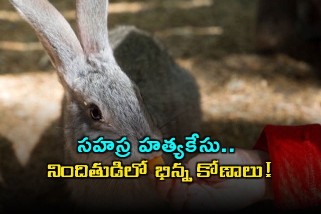 Sahasra Murder Case Boy Shows Love for Rabbit After Brutal Killing