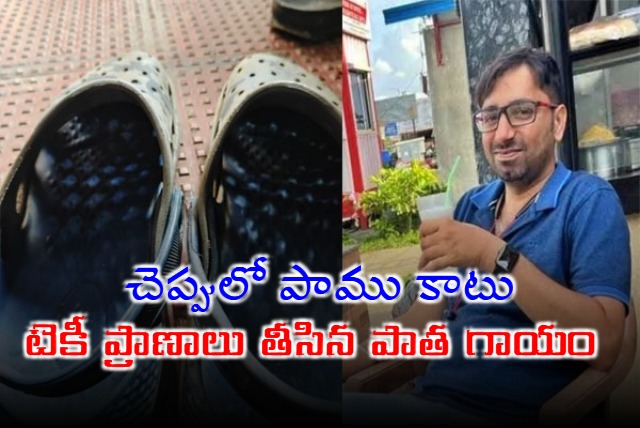 Bengaluru Techie Dies After Being Bitten By Snake Hidden In His Footwear