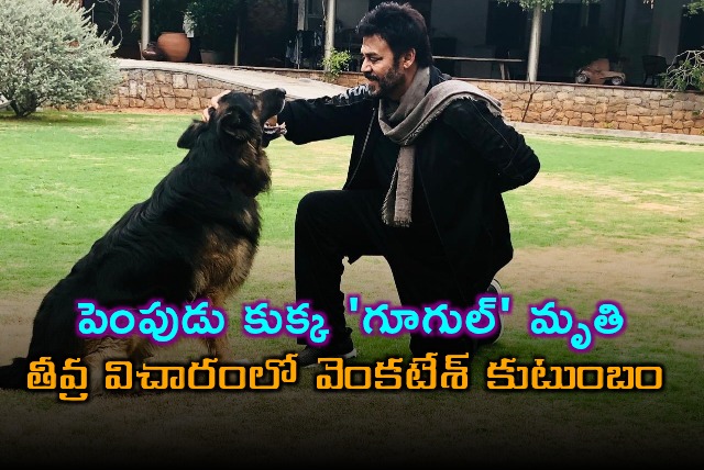 Venkatesh Family Mourns Death of Pet Dog Google