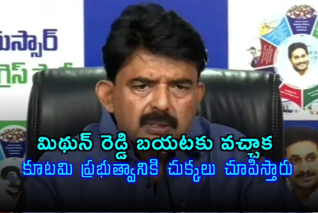 Mithun Reddy Will Expose Coalition Government Says Perni Nani
