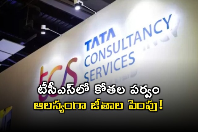 TCS Salary Hike Delayed and Lower Than Expected
