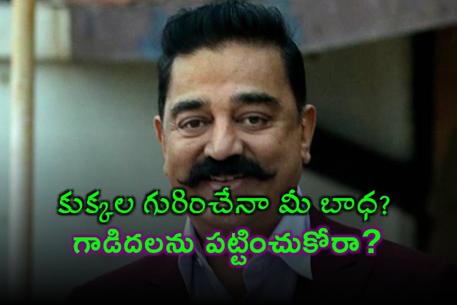 Kamal Haasan on Street Dogs Why Not Donkeys