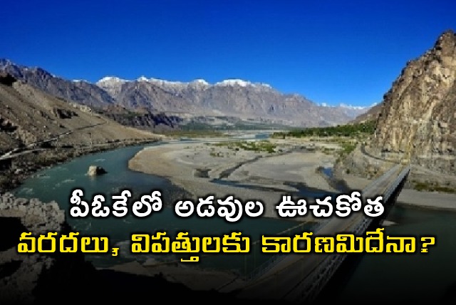 POK Deforestation leads to disasters IDRW Report