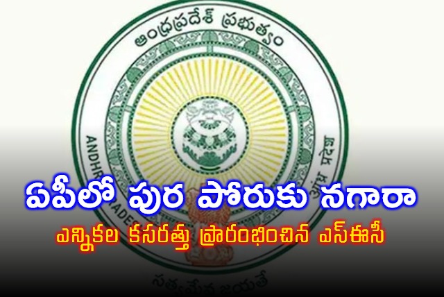 AP Municipal Elections Preparations Begin Says Neelam Sawhney