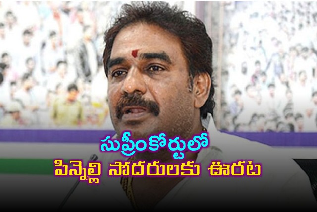 Pinnelli Brothers Get Relief in Supreme Court