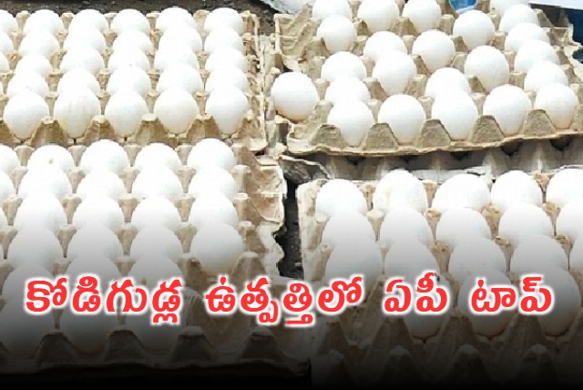 AP top in egg production says Director Damodar Naidu