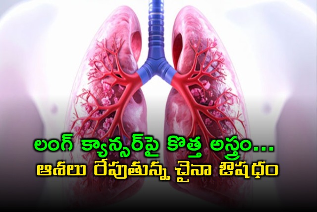 Antibody drug shows promise against lung cancer in first human trial 