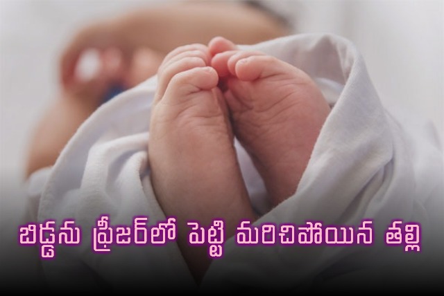 Moradabad incident Mother Forgets Baby in Freezer