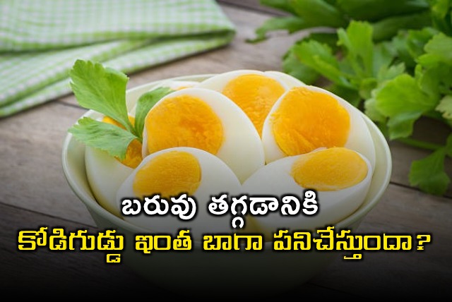 Eggs for Weight Loss Amazing Benefits