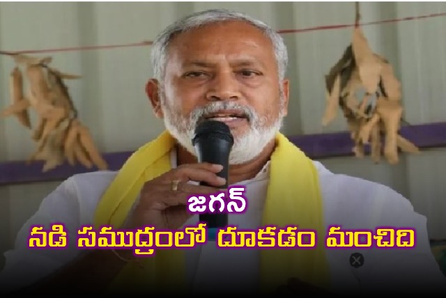 Jagan Should Jump in Sea Says Pulivarthi Nani